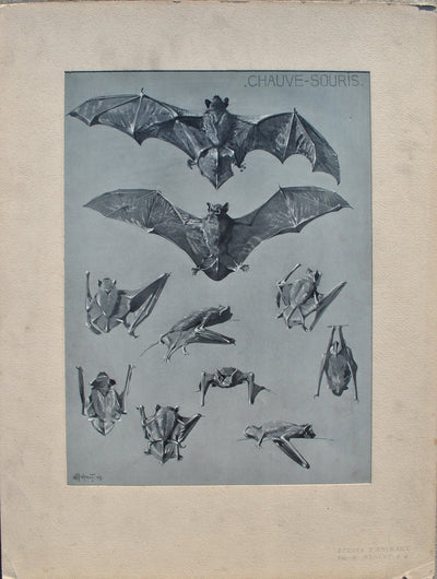 Mathurin MEHEUT : La Chauve-souris, Lithographie originale (vue générale) - Crédit photo : Galerie Art.Paris