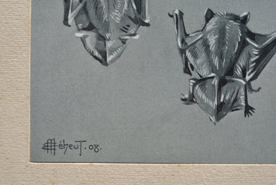 Mathurin MEHEUT : La Chauve-souris, Lithographie originale (photo de détail 4) - Crédit photo : Galerie Art.Paris