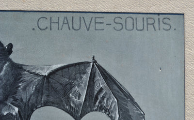 Mathurin MEHEUT : La Chauve-souris, Lithographie originale (photo de détail 5) - Crédit photo : Galerie Art.Paris