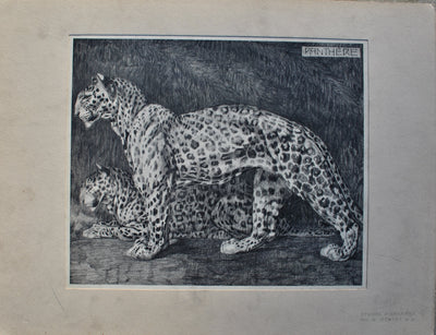 Mathurin MEHEUT : La Panthère, Lithographie originale (vue générale) - Crédit photo : Galerie Art.Paris