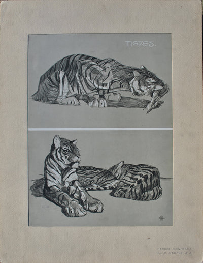 Mathurin MEHEUT : Le Tigre, Lithographie originale (vue générale) - Crédit photo : Galerie Art.Paris