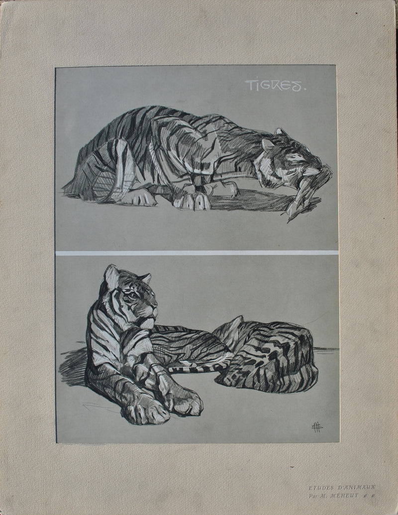 Mathurin MEHEUT : Le Tigre, Lithographie originale (vue générale) - Crédit photo : Galerie Art.Paris