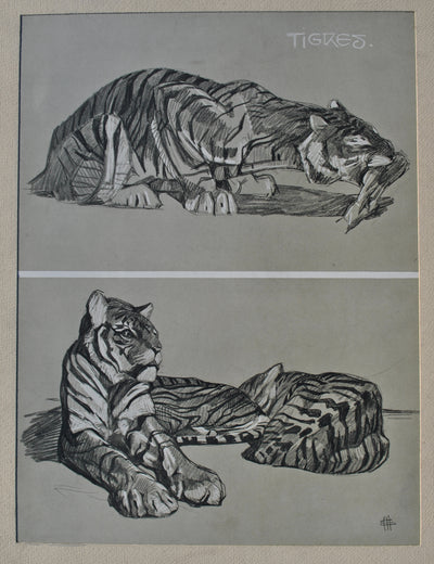 Mathurin MEHEUT : Le Tigre, Lithographie originale (photo de détail 2) - Crédit photo : Galerie Art.Paris