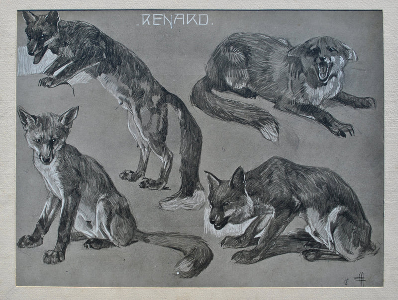 Mathurin MEHEUT : Le Renard, Lithographie originale (photo de détail 2) - Crédit photo : Galerie Art.Paris