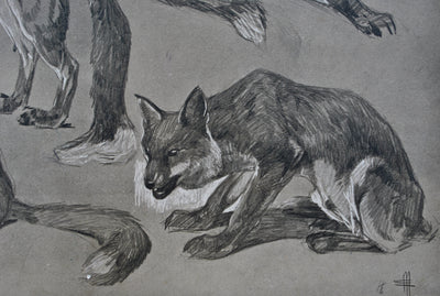 Mathurin MEHEUT : Le Renard, Lithographie originale (photo de détail 8) - Crédit photo : Galerie Art.Paris