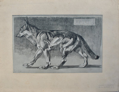 Mathurin MEHEUT : Le Loup, Lithographie originale (vue générale) - Crédit photo : Galerie Art.Paris