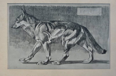 Mathurin MEHEUT : Le Loup, Lithographie originale (photo de détail 2) - Crédit photo : Galerie Art.Paris