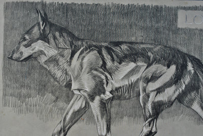 Mathurin MEHEUT : Le Loup, Lithographie originale (photo de détail 5) - Crédit photo : Galerie Art.Paris