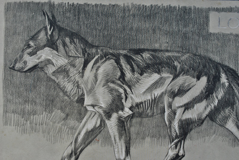 Mathurin MEHEUT : Le Loup, Lithographie originale (photo de détail 5) - Crédit photo : Galerie Art.Paris