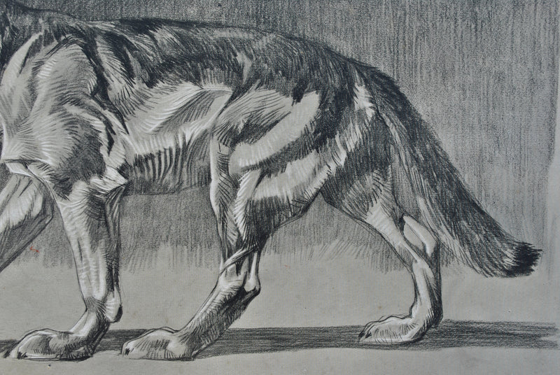 Mathurin MEHEUT : Le Loup, Lithographie originale (photo de détail 6) - Crédit photo : Galerie Art.Paris