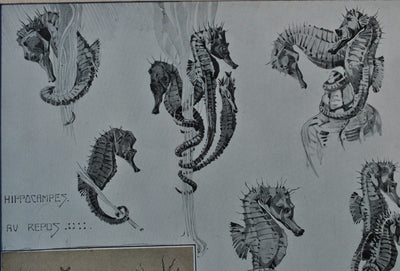 Mathurin MEHEUT : L'Hippocampe, Lithographie originale (photo de détail 7) - Crédit photo : Galerie Art.Paris