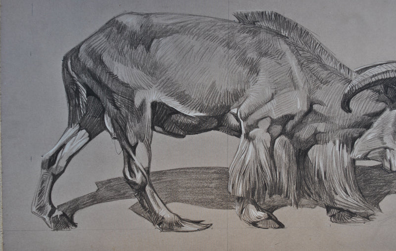 Mathurin MEHEUT : Le Mouflon de profil, Lithographie originale (photo de détail 6) - Crédit photo : Galerie Art.Paris