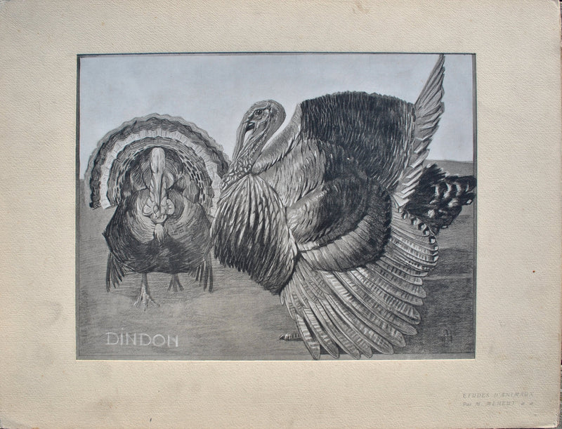 Mathurin MEHEUT : Le Dindon, Lithographie originale (vue générale) - Crédit photo : Galerie Art.Paris