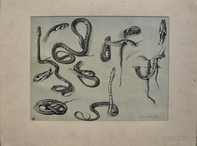 Mathurin MEHEUT : Les Serpents, Lithographie originale (vue générale) - Crédit photo : Galerie Art.Paris