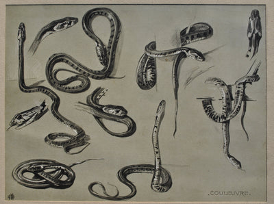 Mathurin MEHEUT : Les Serpents, Lithographie originale (photo de détail 2) - Crédit photo : Galerie Art.Paris