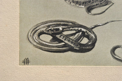 Mathurin MEHEUT : Les Serpents, Lithographie originale (photo de détail 3) - Crédit photo : Galerie Art.Paris