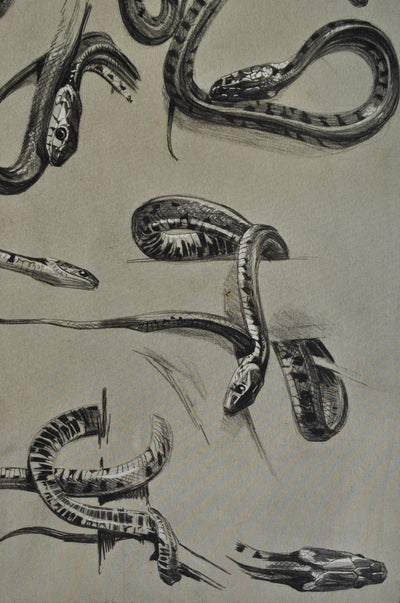 Mathurin MEHEUT : Les Serpents, Lithographie originale (photo de détail 7) - Crédit photo : Galerie Art.Paris