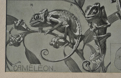 Mathurin MEHEUT : Les Caméléons, Lithographie originale (photo de détail 4) - Crédit photo : Galerie Art.Paris