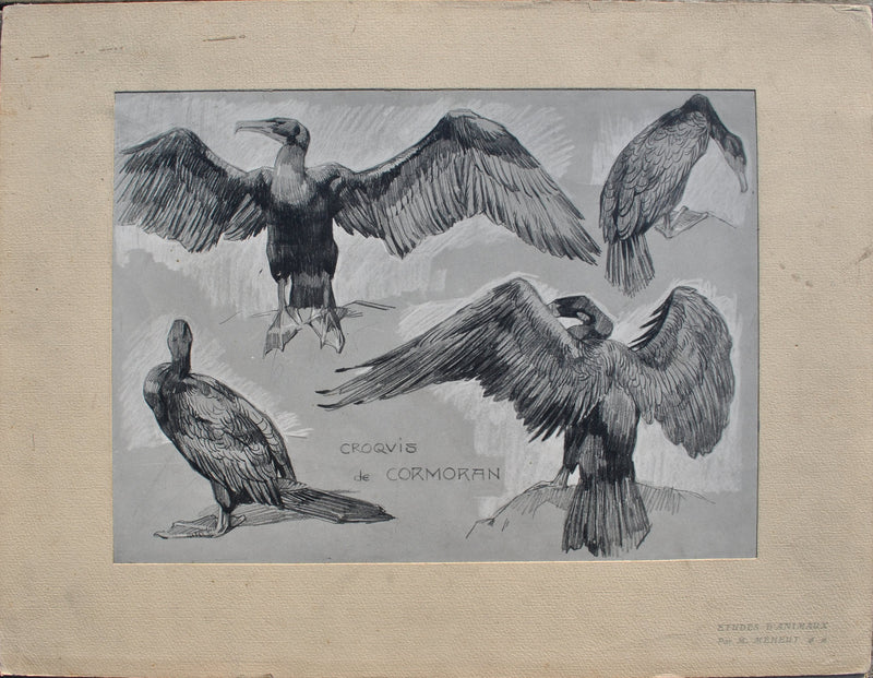 Mathurin MEHEUT : Le Cormoran, Lithographie originale (vue générale) - Crédit photo : Galerie Art.Paris