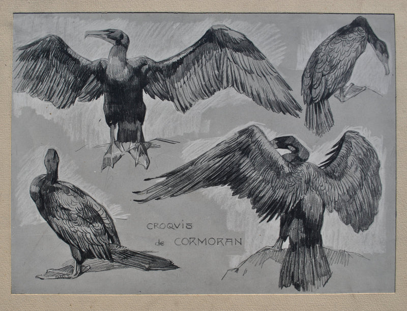 Mathurin MEHEUT : Le Cormoran, Lithographie originale (photo de détail 2) - Crédit photo : Galerie Art.Paris