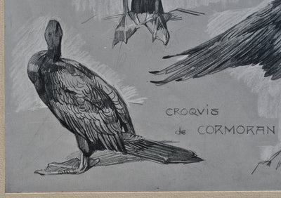 Mathurin MEHEUT : Le Cormoran, Lithographie originale (photo de détail 4) - Crédit photo : Galerie Art.Paris