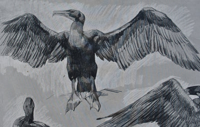 Mathurin MEHEUT : Le Cormoran, Lithographie originale (photo de détail 5) - Crédit photo : Galerie Art.Paris