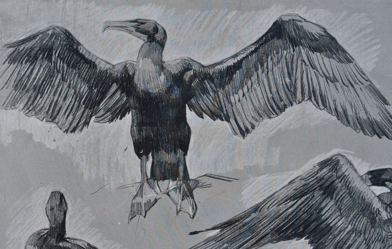 Mathurin MEHEUT : Le Cormoran, Lithographie originale (photo de détail 5) - Crédit photo : Galerie Art.Paris