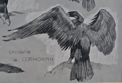 Mathurin MEHEUT : Le Cormoran, Lithographie originale (photo de détail 7) - Crédit photo : Galerie Art.Paris