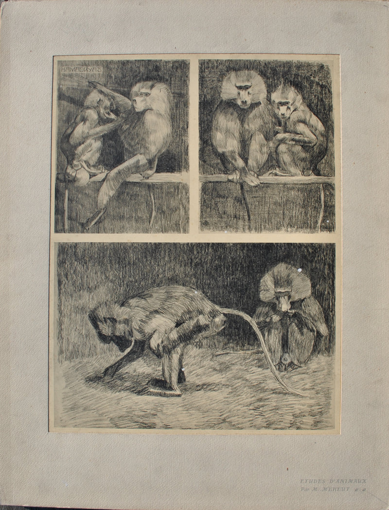 Mathurin MEHEUT : Les petits Singes, Lithographie originale (vue générale) - Crédit photo : Galerie Art.Paris