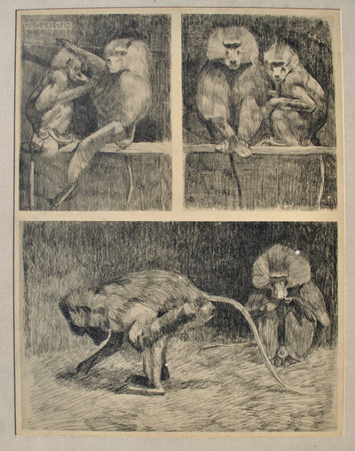 Mathurin MEHEUT : Les petits Singes, Lithographie originale (photo de détail 2) - Crédit photo : Galerie Art.Paris