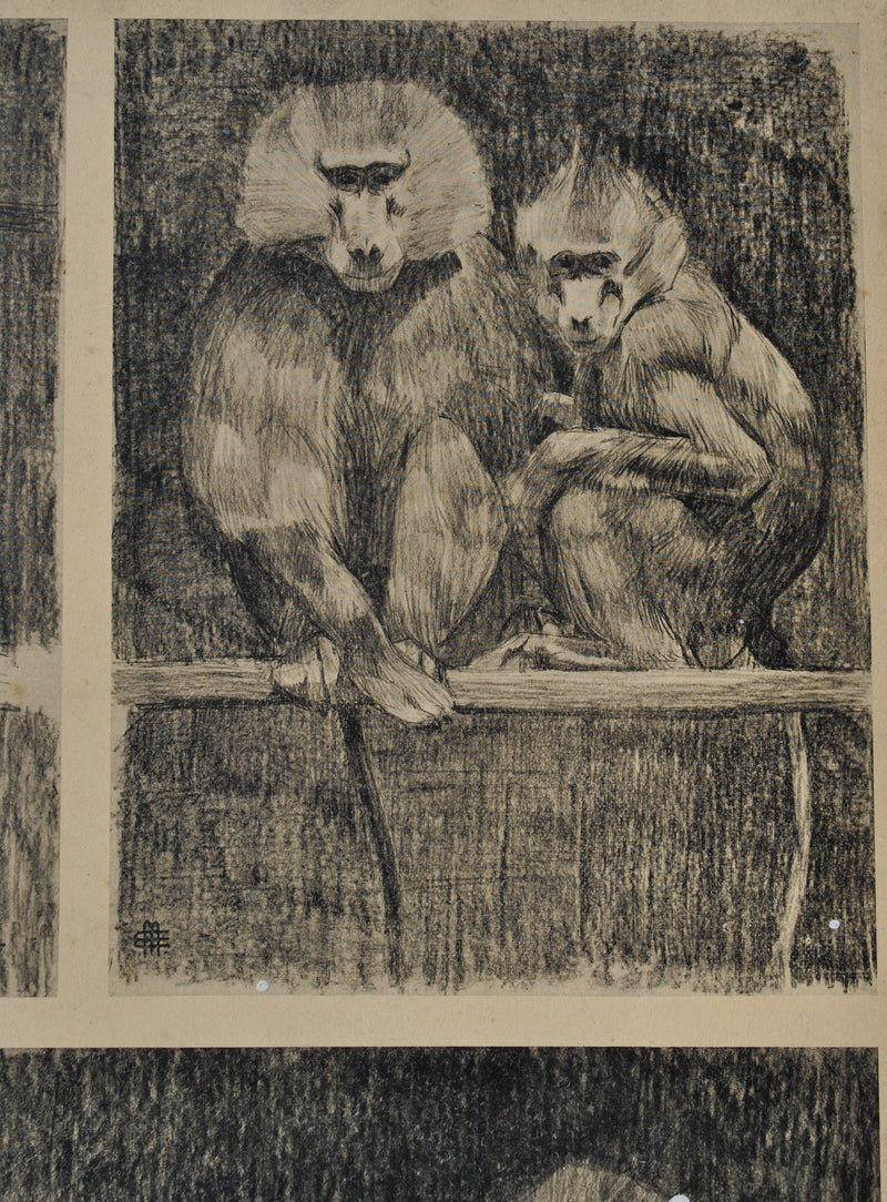 Mathurin MEHEUT : Les petits Singes, Lithographie originale (photo de détail 5) - Crédit photo : Galerie Art.Paris