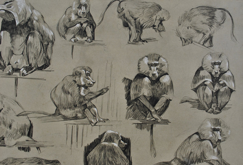 Mathurin MEHEUT : Les Singes, Lithographie originale (photo de détail 7) - Crédit photo : Galerie Art.Paris