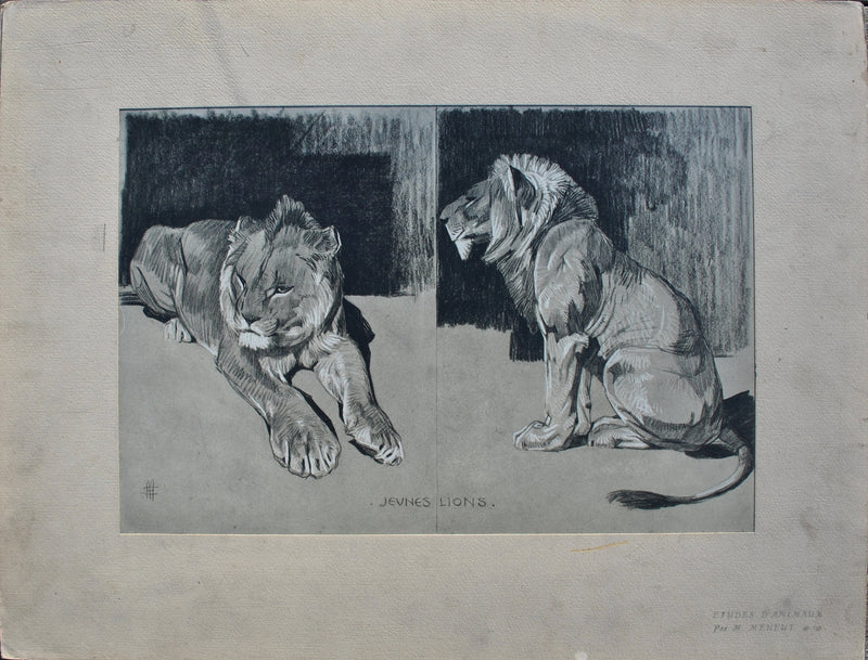 Mathurin MEHEUT : Le couple de Lions, Lithographie originale (vue générale) - Crédit photo : Galerie Art.Paris