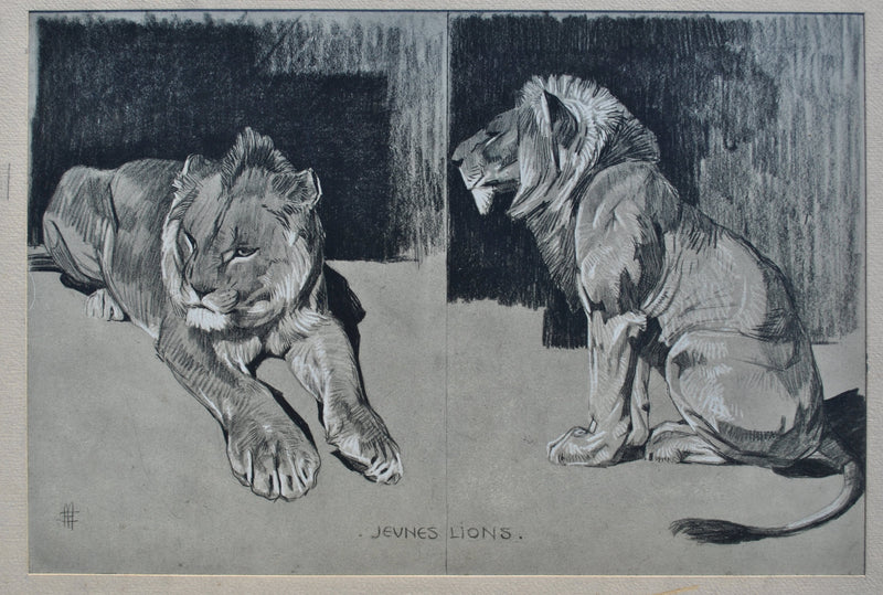 Mathurin MEHEUT : Le couple de Lions, Lithographie originale (photo de détail 2) - Crédit photo : Galerie Art.Paris