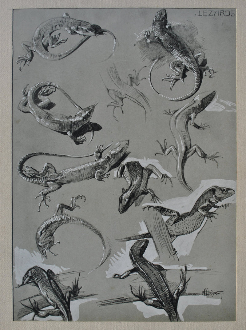 Mathurin MEHEUT : Le Lézard, Lithographie originale (photo de détail 2) - Crédit photo : Galerie Art.Paris