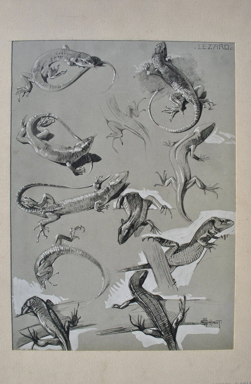 Mathurin MEHEUT : Le Lézard, Lithographie originale (photo de détail 5) - Crédit photo : Galerie Art.Paris