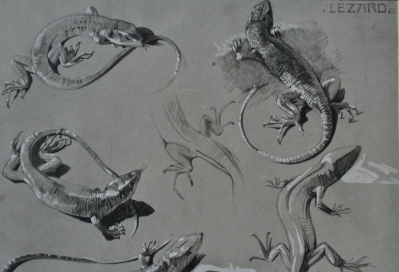 Mathurin MEHEUT : Le Lézard, Lithographie originale (photo de détail 8) - Crédit photo : Galerie Art.Paris