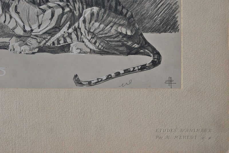 Mathurin MEHEUT : Le Tigre au repos, Lithographie originale (photo de détail 4) - Crédit photo : Galerie Art.Paris