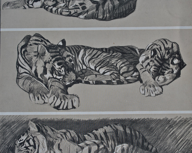 Mathurin MEHEUT : Le Tigre au repos, Lithographie originale (photo de détail 5) - Crédit photo : Galerie Art.Paris