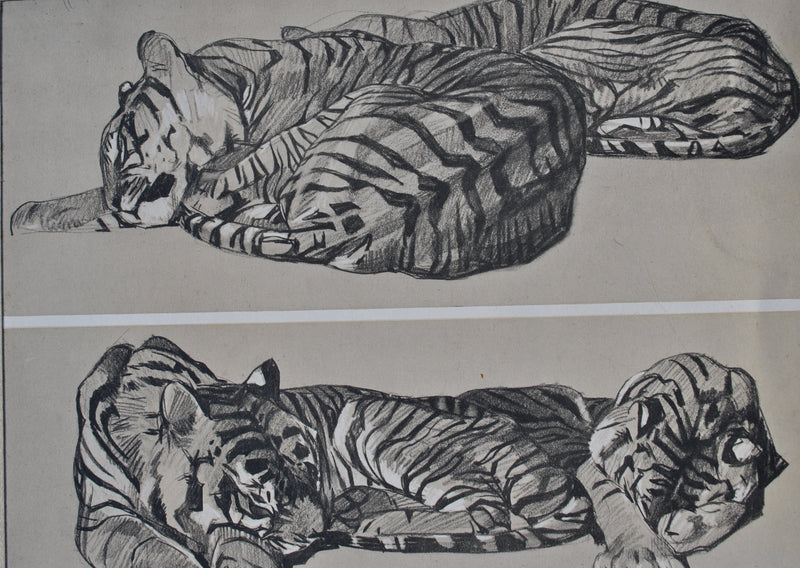 Mathurin MEHEUT : Le Tigre au repos, Lithographie originale (photo de détail 2) - Crédit photo : Galerie Art.Paris