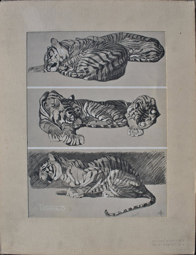 Mathurin MEHEUT : Le Tigre au repos, Lithographie originale (vue générale) - Crédit photo : Galerie Art.Paris