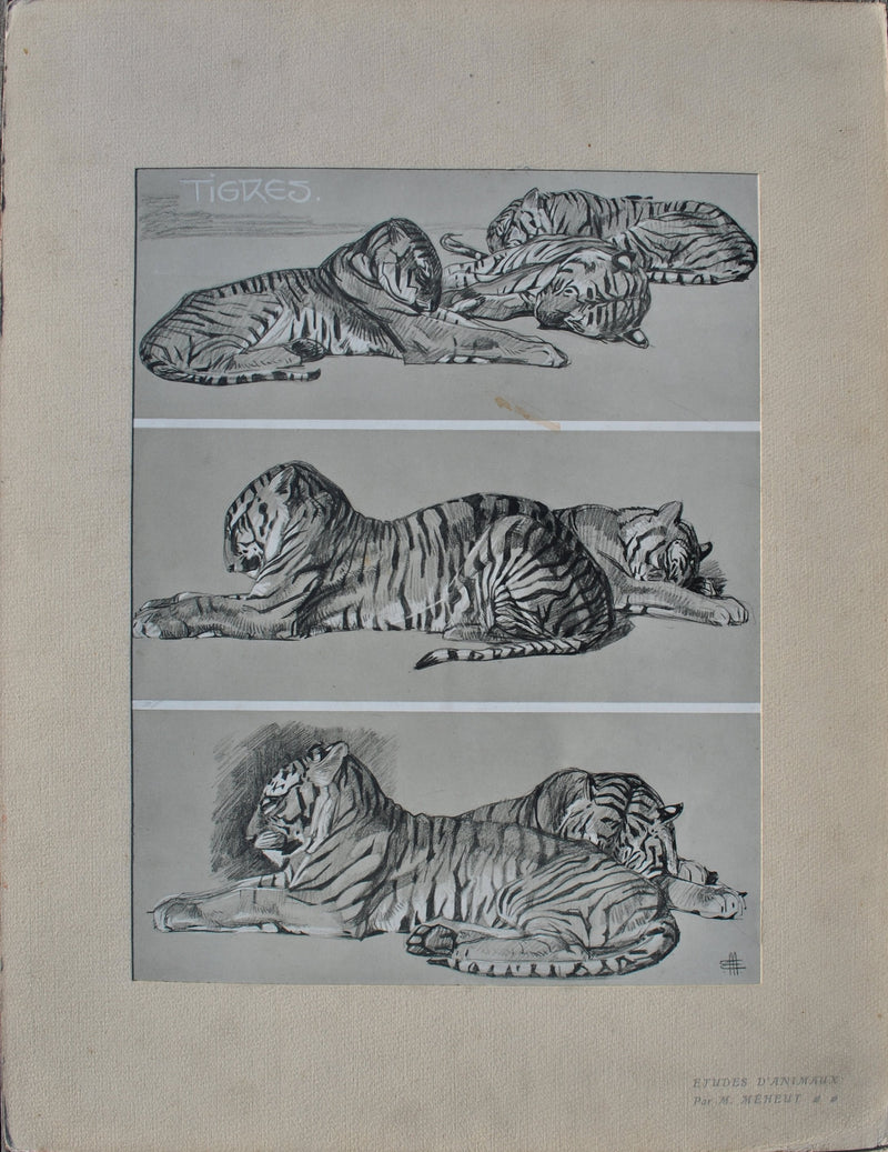 Mathurin MEHEUT : Les Tigres, Lithographie originale (vue générale) - Crédit photo : Galerie Art.Paris