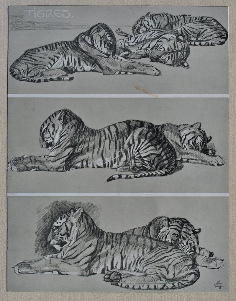 Mathurin MEHEUT : Les Tigres, Lithographie originale (photo de détail 2) - Crédit photo : Galerie Art.Paris