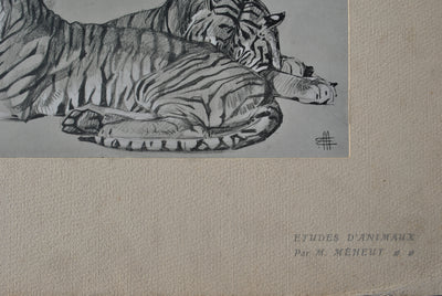 Mathurin MEHEUT : Les Tigres, Lithographie originale (photo de détail 3) - Crédit photo : Galerie Art.Paris