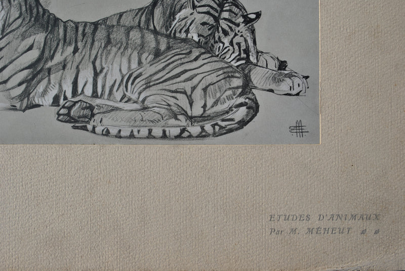 Mathurin MEHEUT : Les Tigres, Lithographie originale (photo de détail 3) - Crédit photo : Galerie Art.Paris