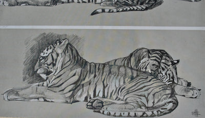 Mathurin MEHEUT : Les Tigres, Lithographie originale (photo de détail 5) - Crédit photo : Galerie Art.Paris