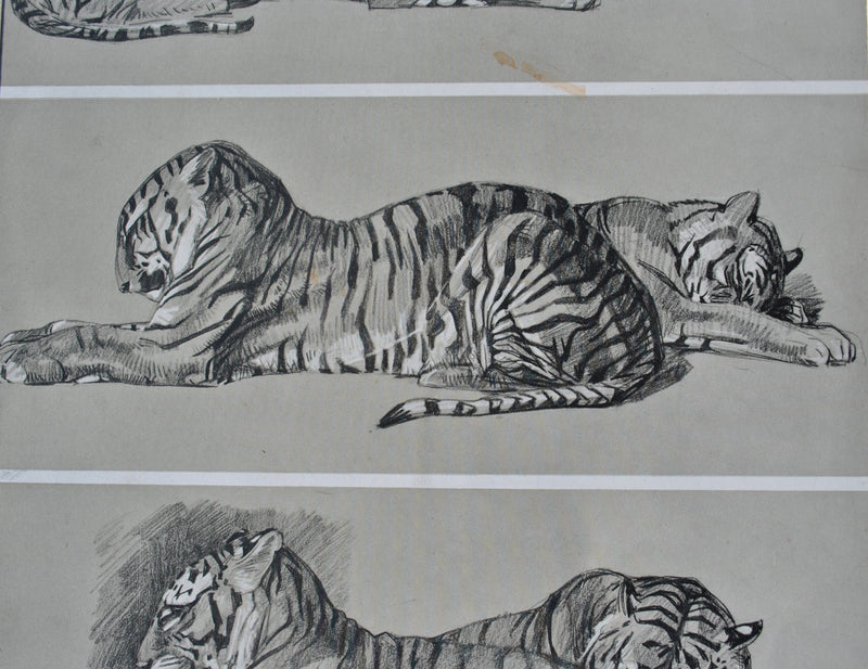 Mathurin MEHEUT : Les Tigres, Lithographie originale (photo de détail 6) - Crédit photo : Galerie Art.Paris