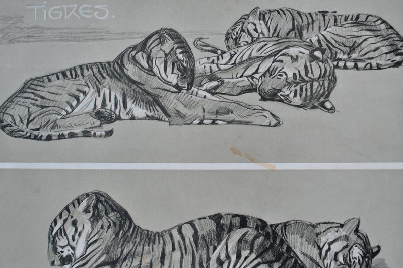 Mathurin MEHEUT : Les Tigres, Lithographie originale (photo de détail 7) - Crédit photo : Galerie Art.Paris