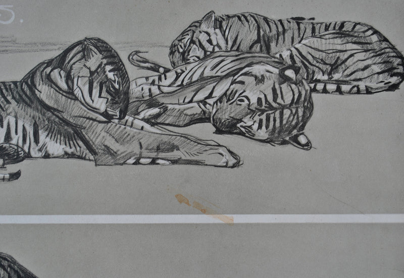 Mathurin MEHEUT : Les Tigres, Lithographie originale (photo de détail 8) - Crédit photo : Galerie Art.Paris