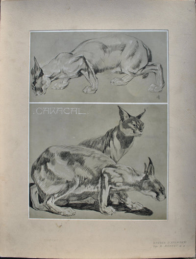 Mathurin MEHEUT : Couple de Caracals, Lithographie originale (vue générale) - Crédit photo : Galerie Art.Paris